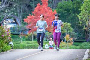 BIB: 8245
                            <button type="button" onclick="openModal(19241625)" class="btn btn-primary btn-sm float-right btn-popup" data-toggle="modal" data-target=".modal-high-quality">
                        <i class="fas fa-shopping-cart"></i> Add to Cart
                    </button>
                                            <button type="button" onclick="isThisMe(19241625, true)" class="btn btn-success btn-sm float-right btn-popup btn-isme hidden" data-toggle="tooltip" data-placement="bottom" title="นี่คือรูปของคุณใช่ไหม คลิกที่นี่เพื่อเอาเข้าอัลบั้ม">
                        <i class="fas fa-plus"></i> Add to album
                    </button>
                    <button type="button" onclick="isThisMe(19241625, false)" class="btn btn-warning btn-sm float-right btn-popup btn-isnotme hidden">
                        <i class="fas fa-ban"></i> Remove from album
                    </button>